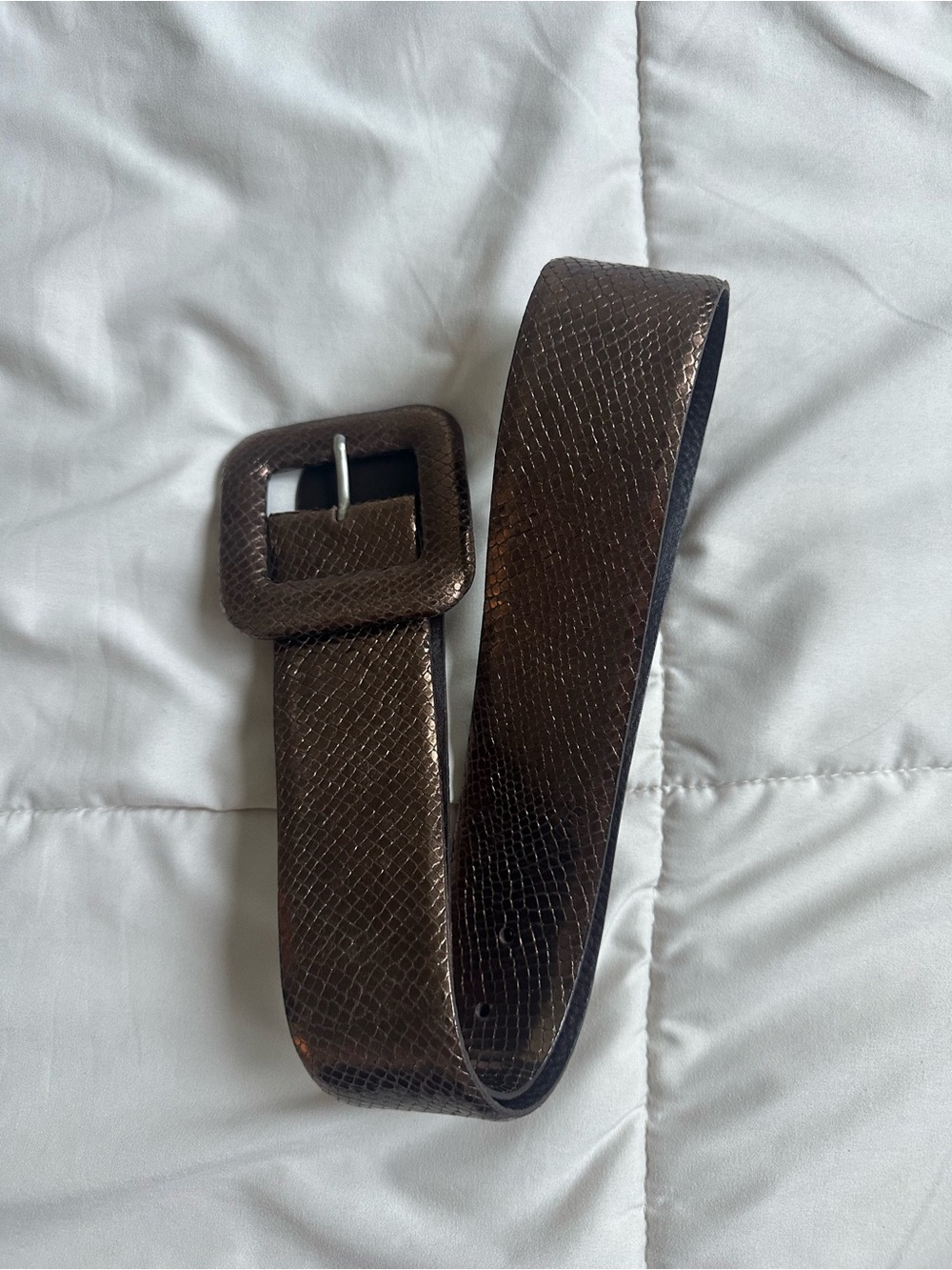 Rene Lezard Textured Dark Brown Leather Women's Belt